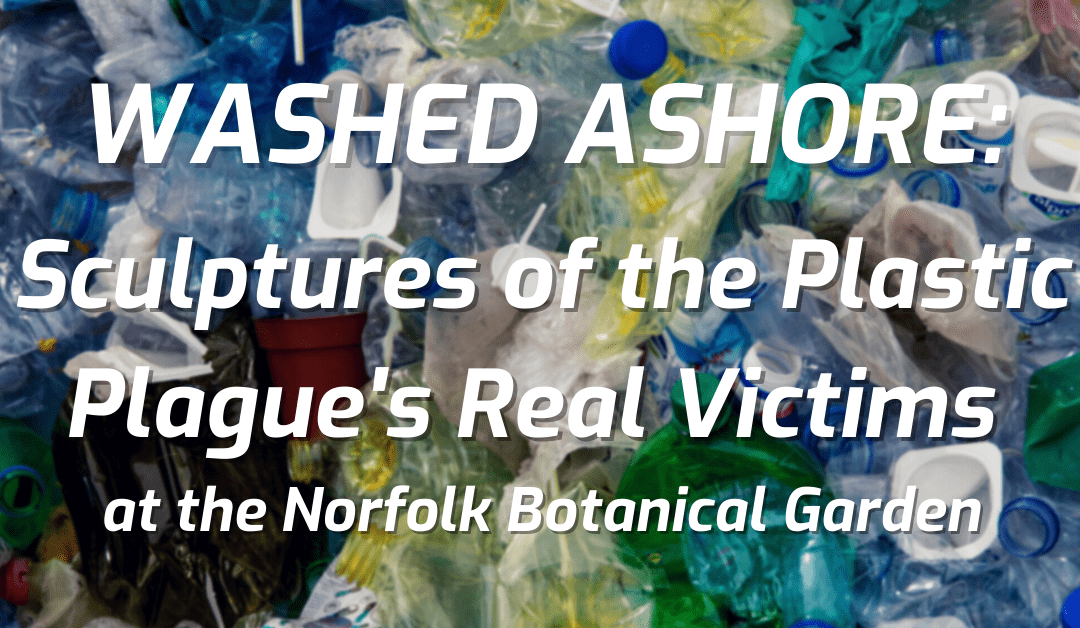 Washed Ashore: Sculptures of the Plastic Plague’s Real Victims at Norfolk Botanical Garden