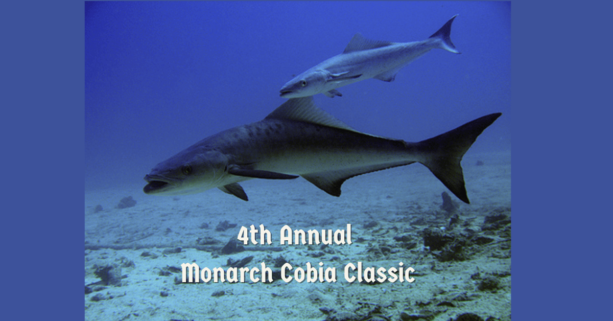 4th Annual Monarch Cobia Classic