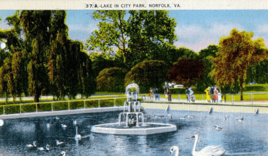 Rest, Relaxation & Race Part 3:“Draining Our Pool: The Allure of City Park”