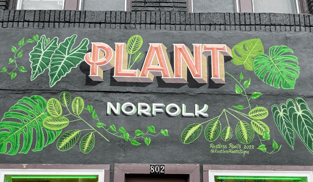 Greenthumbs Gather: New Shop Plants Roots in the NEON District