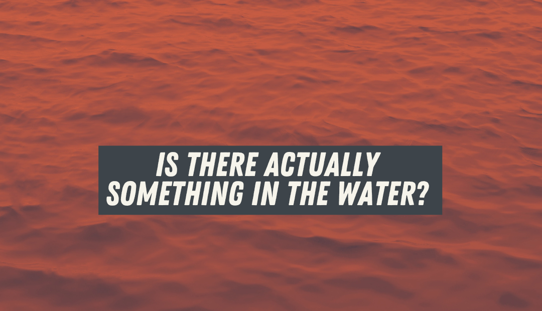 Is There Actually Something in the Water?