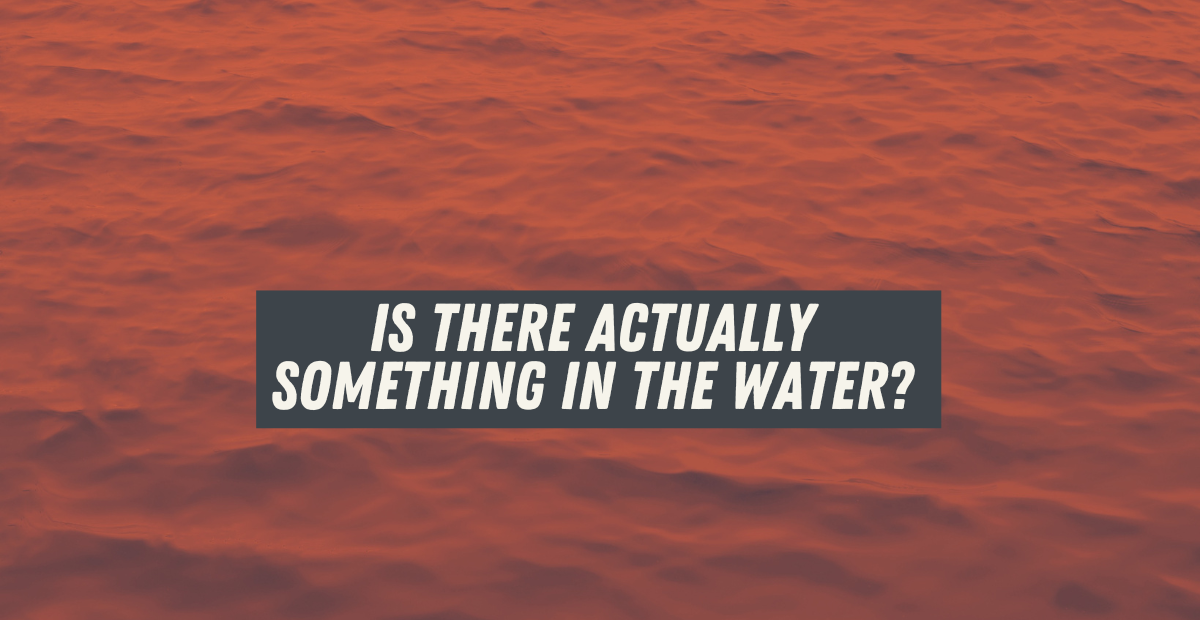 Is There Actually Something in the Water? - NFKVA